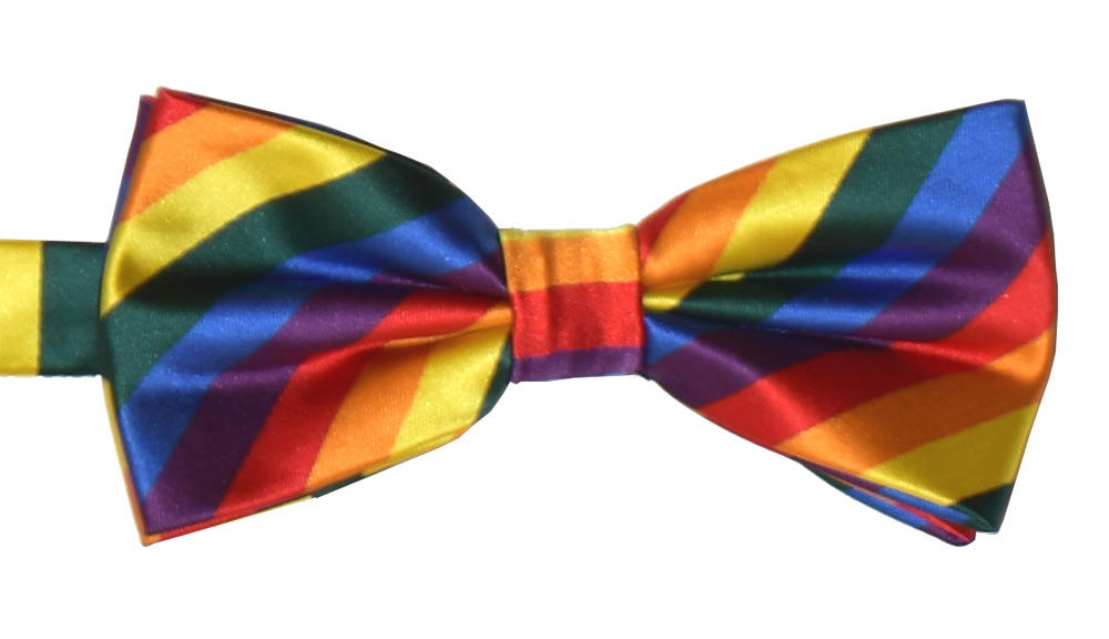 Knuten fluga mönstrad rainbow